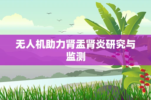 无人机助力肾盂肾炎研究与监测