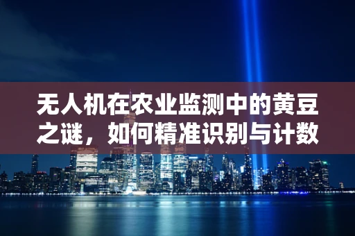 无人机在农业监测中的黄豆之谜，如何精准识别与计数？