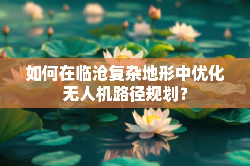 如何在临沧复杂地形中优化无人机路径规划？